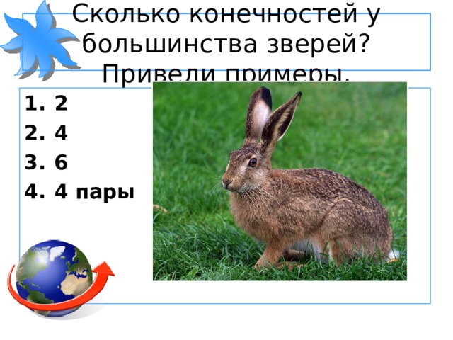 Сколько конечностей у большинства зверей? Приведи примеры. 2 4 6 4 пары 