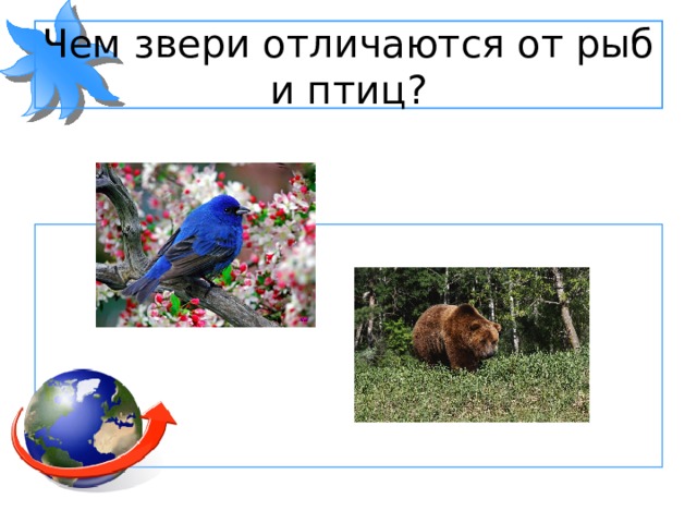 Чем звери отличаются от рыб и птиц? 