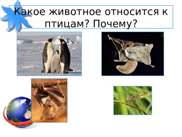 Какое животное относится к птицам? Почему? 