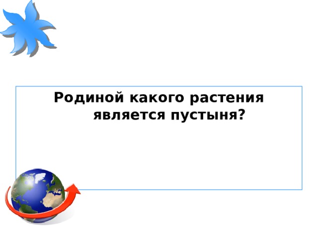Родиной какого растения является пустыня? 
