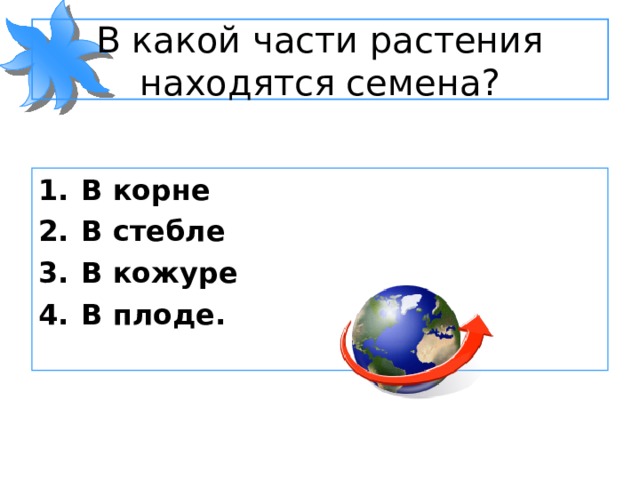 В какой части растения находятся семена? В корне В стебле В кожуре В плоде. 