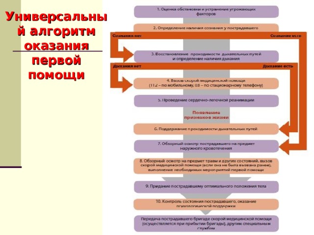 Универсальный алгоритм оказания первой помощи 