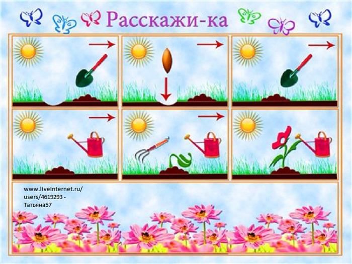 Какие бывают цветы презентация для дошкольников