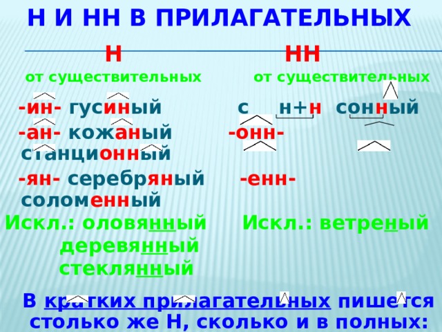 Н и НН в прилагательных  Н  НН  от существительных от существительных   -ин- гус ин ый с  н+ н сон н ый  -ан- кож ан ый -онн- станци онн ый  -ян- серебр ян ый -енн- солом енн ый Искл.: оловя нн ый Искл.: ветре н ый  деревя нн ый  стекля нн ый   В кратких прилагательных пишется столько же Н, сколько и в полных:  ветр е н ая – ветр е н а, тума н н ая - тума н н а  