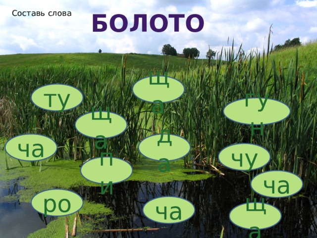 Составь слова болото Вставка рисунка ща ту гун ща да ча чу пи ча ро ча ща 