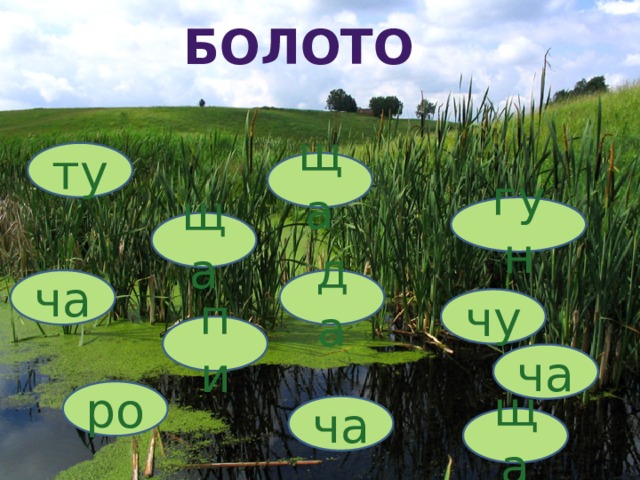 Составь слово болото. Болото тренажер. Буква трясина. Буква б болото. Болота писать.