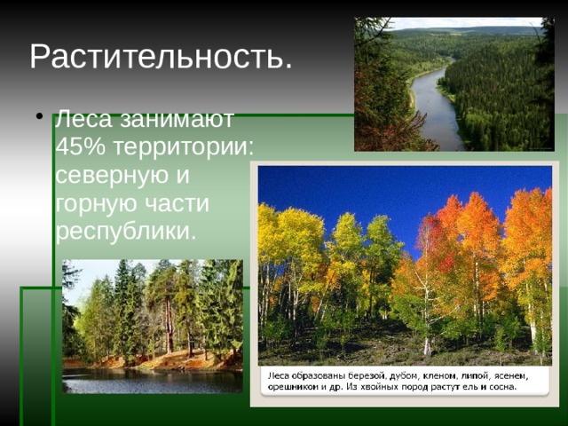 Растительность. Леса занимают 45% территории: северную и горную части республики. 