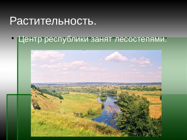 Растительность. Центр республики занят лесостепями. 