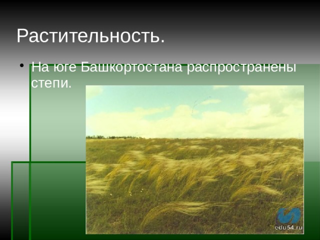Растительность. На юге Башкортостана распространены степи. 