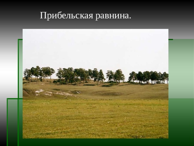 Прибельская равнина. 
