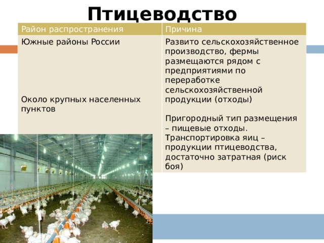 Напишите с опорой на картину какой тип населенных пунктов был характерен для белорусских губерний