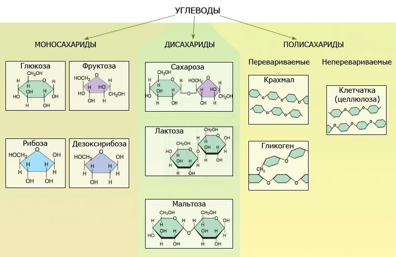 Тривиальные названия углеводов добавьте к изображениям названия углеводов