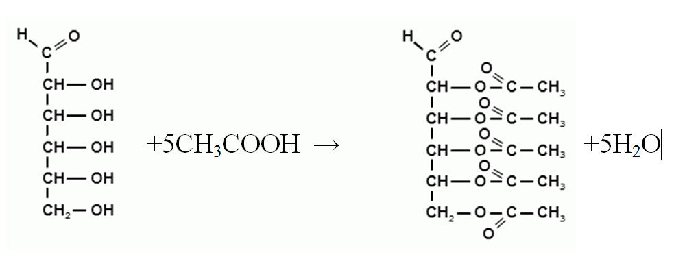 Глюкоза образуется в соответствии со схемой реакции