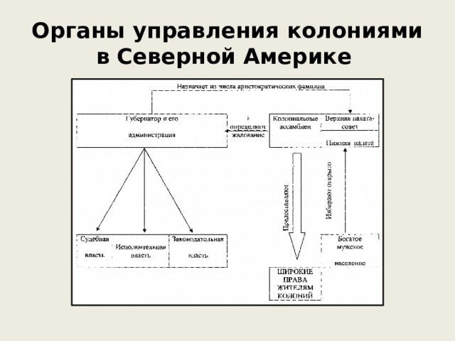 Управление колониями