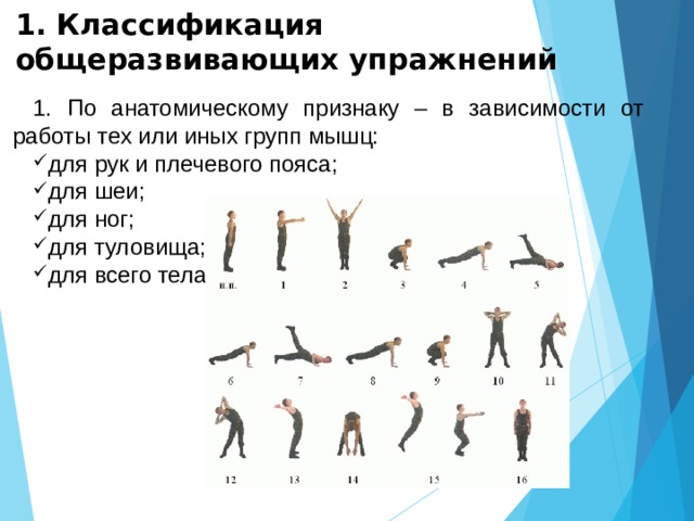 Общеразвивающие упражнения - Физкультура - Презентации