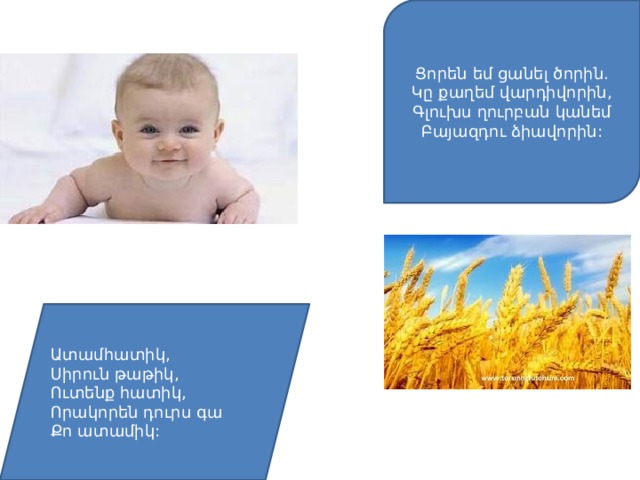 Ցորեն եմ ցանել ծորին.  Կը քաղեմ վարդիվորին,  Գլուխս ղուրբան կանեմ  Բայազդու ձիավորին: Ատամհատիկ, Սիրուն թաթիկ, Ուտենք հատիկ, Որակորեն դուրս գա Քո ատամիկ: 