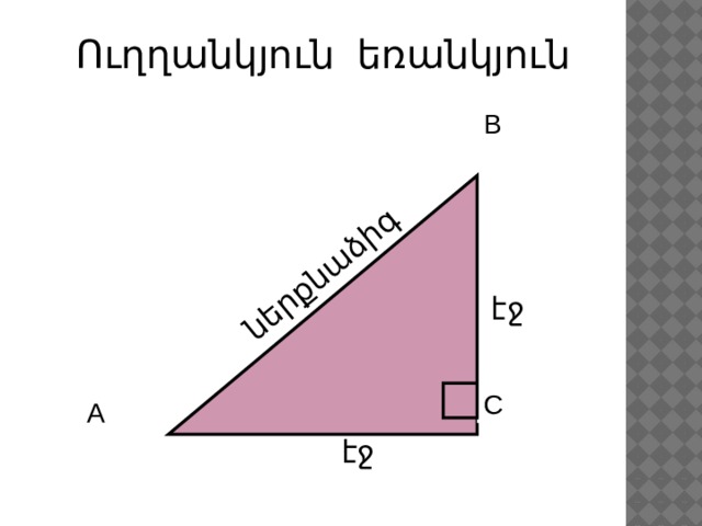 ներքնաձիգ Ուղղանկյուն եռանկյուն B էջ C A էջ 