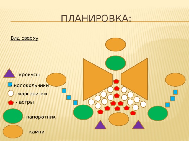 Планировка: Вид сверху - крокусы - колокольчики - маргаритки - астры - папоротник - камни 