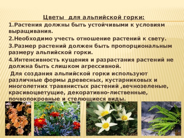 Цветы для альпийской горки: 1.Растения должны быть устойчивыми к условиям выращивания. 2.Необходимо учесть отношение растений к свету. 3.Размер растений должен быть пропорциональным размеру альпийской горки. 4.Интенсивность кущения и разрастания растений не должна быть слишком агрессивной.  Для создания альпийской горки используют различные формы древесных, кустарниковых и многолетних травянистых растений ,вечнозеленые, красивоцветущие, декоративно-лиственные, почвопокровные и стелющиеся виды.  