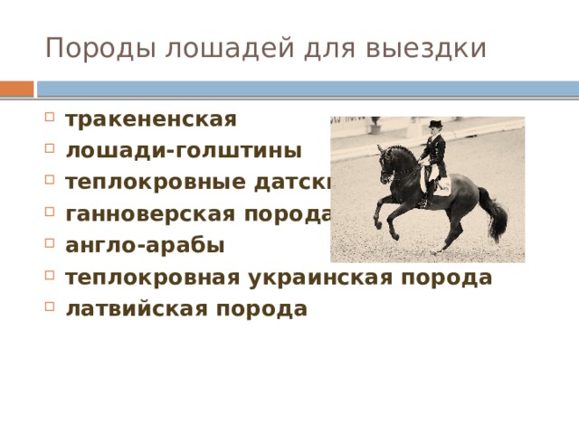 Породы лошадей для выездки тракененская лошади-голштины теплокровные датские ганноверская порода англо-арабы теплокровная украинская порода латвийская порода 