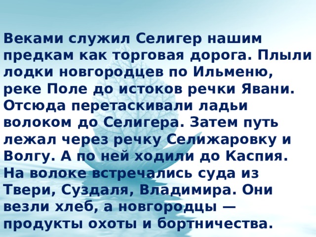 Веками служил Селигер нашим предкам как торговая дорога. Плыли лодки новгородцев по Ильменю, реке Поле до истоков речки Явани. Отсюда перетаскивали ладьи волоком до Селигера. Затем путь лежал через речку Селижаровку и Волгу. А по ней ходили до Каспия. На волоке встречались суда из Твери, Суздаля, Владимира. Они везли хлеб, а новгородцы — продукты охоты и бортничества. 
