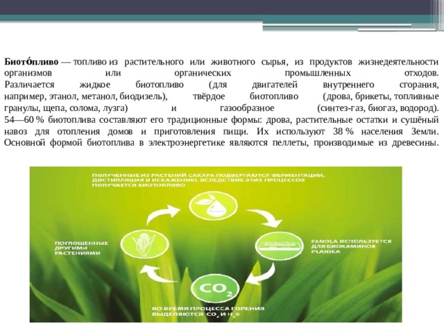 Биото́пливо  — топливо из растительного или животного сырья, из продуктов жизнедеятельности организмов или органических промышленных отходов.  Различается жидкое биотопливо (для двигателей внутреннего сгорания, например, этанол, метанол, биодизель), твёрдое биотопливо (дрова, брикеты, топливные гранулы, щепа, солома, лузга) и газообразное (синтез-газ, биогаз, водород).  54—60 % биотоплива составляют его традиционные формы: дрова, растительные остатки и сушёный навоз для отопления домов и приготовления пищи. Их используют 38 % населения Земли.  Основной формой биотоплива в электроэнергетике являются пеллеты, производимые из древесины.    
