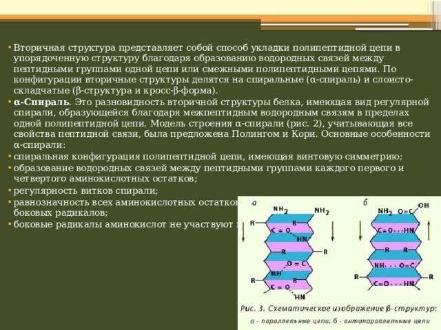 Структура полипептидной цепи