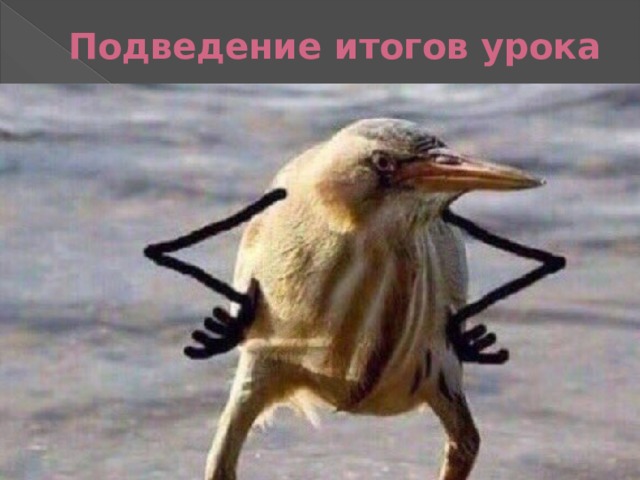Желтоголовая черная птица мем Основные соотношения между тригонометрическими функциями одного и того же аргуме