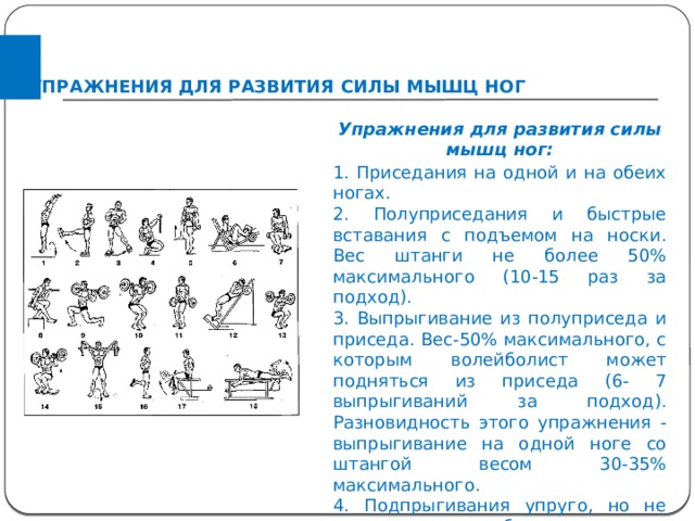 УПРАЖНЕНИЯ ДЛЯ РАЗВИТИЯ СИЛЫ МЫШЦ НОГ Упражнения для развития силы мышц ног: 1. Приседания на одной и на обеих ногах. 2. Полуприседания и быстрые вставания с подъемом на носки. Вес штанги не более 50% максимального (10-15 раз за подход). 3. Выпрыгивание из полуприседа и приседа. Вес-50% максимального, с которым волейболист может подняться из приседа (6- 7 выпрыгиваний за подход). Разновидность этого упражнения - выпрыгивание на одной ноге со штангой весом 30-35% максимального. 4. Подпрыгивания упруго, но не полностью сгибая коленные суставы (до 120°), со штангой такого же веса, что в упражнении 3 (10-15 повторений в подходе). 5. Прыжки со скакалкой на различную высоту в разном темпе. 