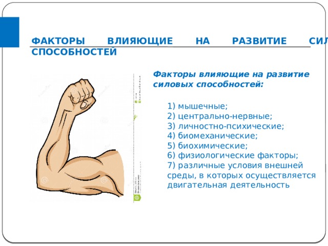 ФАКТОРЫ ВЛИЯЮЩИЕ НА РАЗВИТИЕ СИЛОВЫХ СПОСОБНОСТЕЙ  Факторы влияющие на развитие силовых способностей: 1) мышечные; 2) центрально-нервные; 3) личностно-психические; 4) биомеханические; 5) биохимические; 6) физиологические факторы; 7) различные условия внешней среды, в которых осуществляется двигательная деятельность 