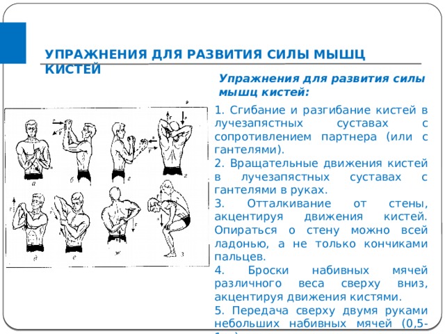 Физические упражнения на развитие силы. Упражнения для развития силы. Упражнения на развитие мышечной силы. Упражнения на силу мышц. Упражнения для развития мышц кисти.