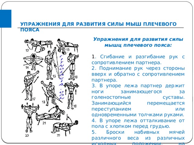 План конспект урока на развитие силы