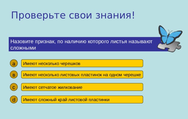 Как называется одна страница презентация