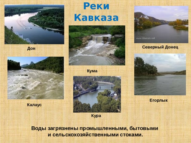 Реки Кавказа Северный Донец Дон Кума Река Калаус  Егорлык  Калаус Кура Воды загрязнены промышленными, бытовыми и сельскохозяйственными стоками.  