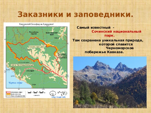 Заказники и заповедники.  Самый известный - Сочинский национальный парк.  Там сохранена уникальная природа, которой славится Черноморское побережье Кавказа.   