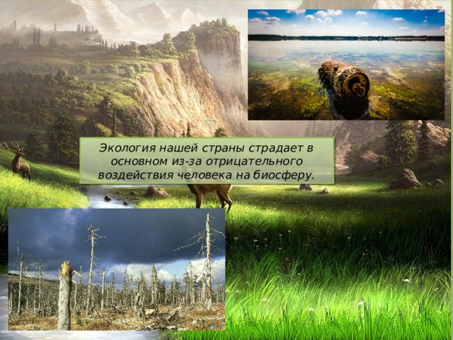 Экология нашей страны страдает в основном из-за отрицательного воздействия человека на биосферу. 
