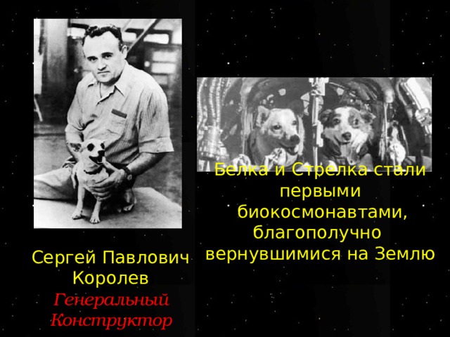 Белка и Стрелка стали первыми  биокосмонавтами, благополучно  вернувшимися на Землю Сергей Павлович Королев Генеральный Конструктор 6 