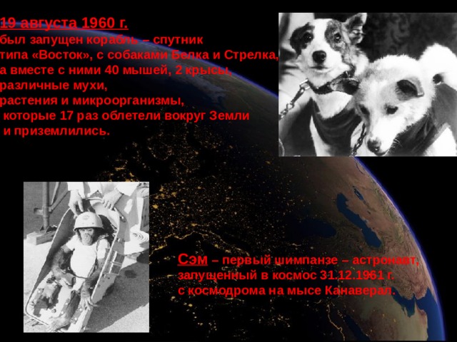 19 августа 1960 г.  был запущен корабль – спутник типа «Восток», с собаками Белка и Стрелка, а вместе с ними 40 мышей, 2 крысы, различные мухи, растения и микроорганизмы,  которые 17 раз облетели вокруг Земли  и приземлились.  Сэм – первый шимпанзе – астронавт, запущенный в космос 31.12.1961 г. с космодрома на мысе Канаверал. 