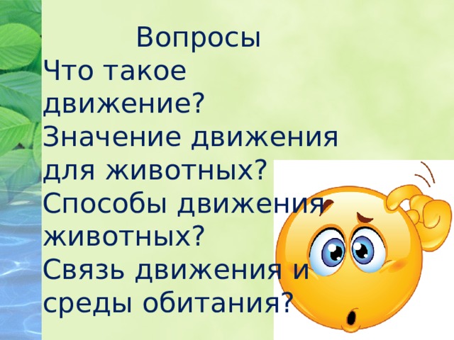 Вопросы Что такое движение? Значение движения для животных? Способы движения животных? Связь движения и среды обитания? 