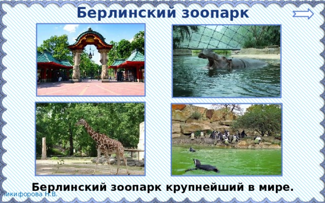 Берлинский зоопарк Берлинский зоопарк крупнейший в мире. 