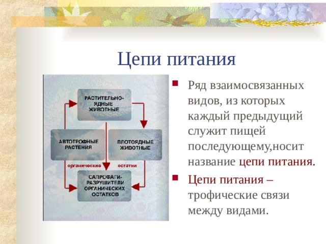 Взаимосвязь организмов и окружающей среды 9 класс проект