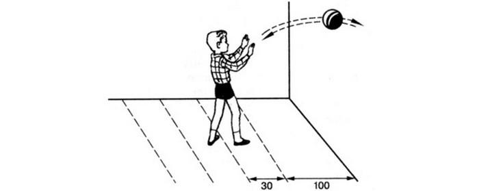 Мяч с расстояния. Бросание мяча в стену. Кидание мяча об стену. Броски мяча в стену. Бросок мяча в стену и ловля.