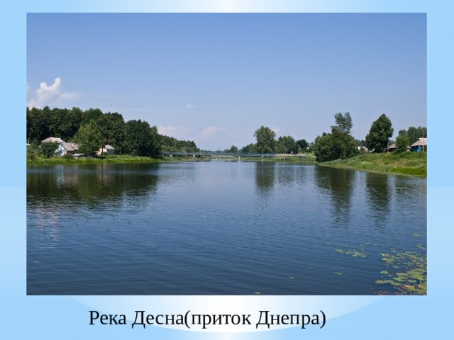 Река Десна(приток Днепра) 