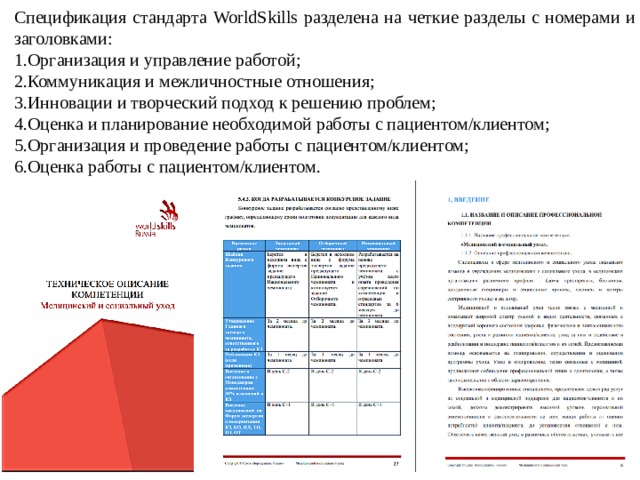 Паспорт проекта ворлдскиллс