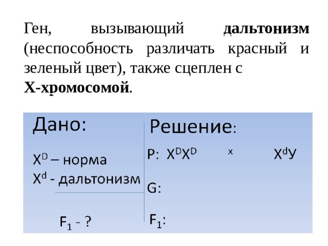 Ген, вызывающий дальтонизм (неспособность различать красный и зеленый цвет), также сцеплен с Х-хромосомой . 