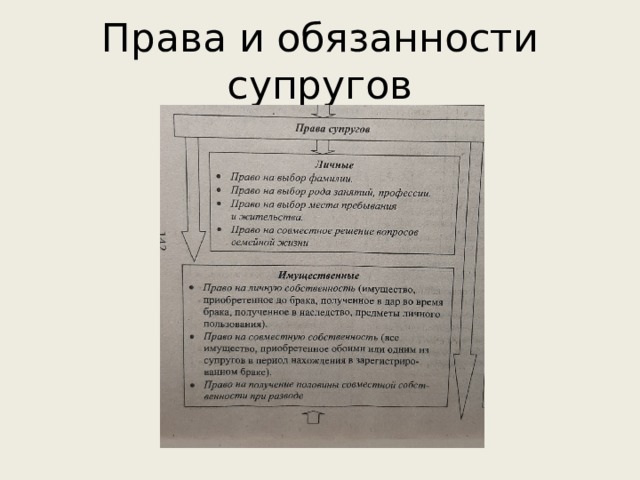 Права и обязанности супругов 