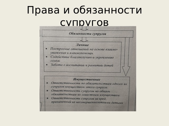 Права и обязанности супругов 