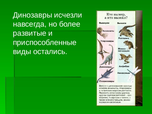 Используя информационные ресурсы подготовьте презентацию проекта