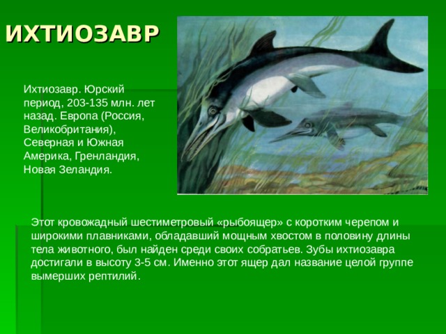 Составьте план предполагаемой экскурсии на тему древние обитатели нашей планеты