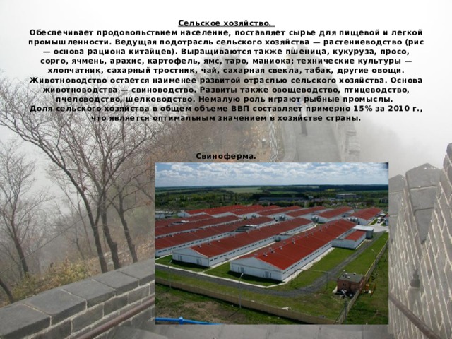  Сельское хозяйство.  Обеспечивает продовольствием население, поставляет сырье для пищевой и легкой промышленности. Ведущая подотрасль сельского хозяйства — растениеводство (рис — основа рациона китайцев). Выращиваются также пшеница, кукуруза, просо, сорго, ячмень, арахис, картофель, ямс, таро, маниока; технические культуры — хлопчатник, сахарный тростник, чай, сахарная свекла, табак, другие овощи. Животноводство остается наименее развитой отраслью сельского хозяйства. Основа животноводства — свиноводство. Развиты также овощеводство, птицеводство, пчеловодство, шелководство. Немалую роль играют рыбные промыслы.  Доля сельского хозяйства в общем объеме ВВП составляет примерно 15% за 2010 г., что является оптимальным значением в хозяйстве страны.     Свиноферма.   